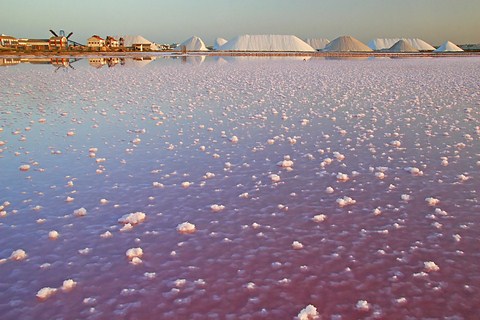 Car rental torrevieja