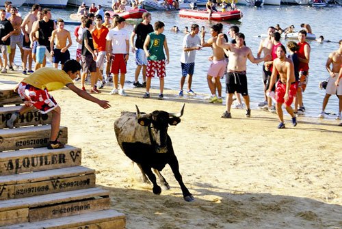 Denia Bous al mar