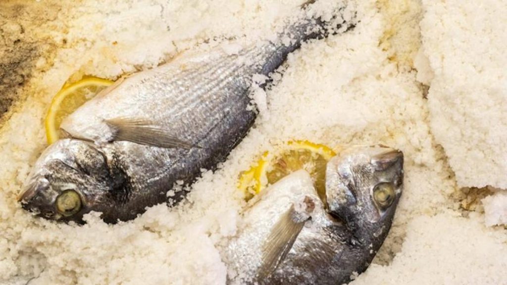Spanish white fish Dorada